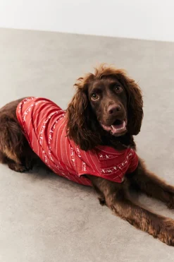Dog Fairisle Print Pyjama