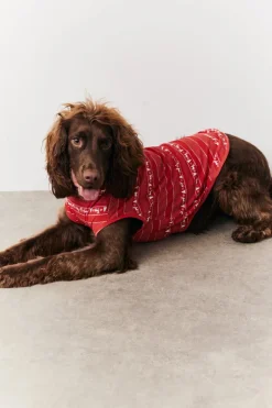 Dog Fairisle Print Pyjama