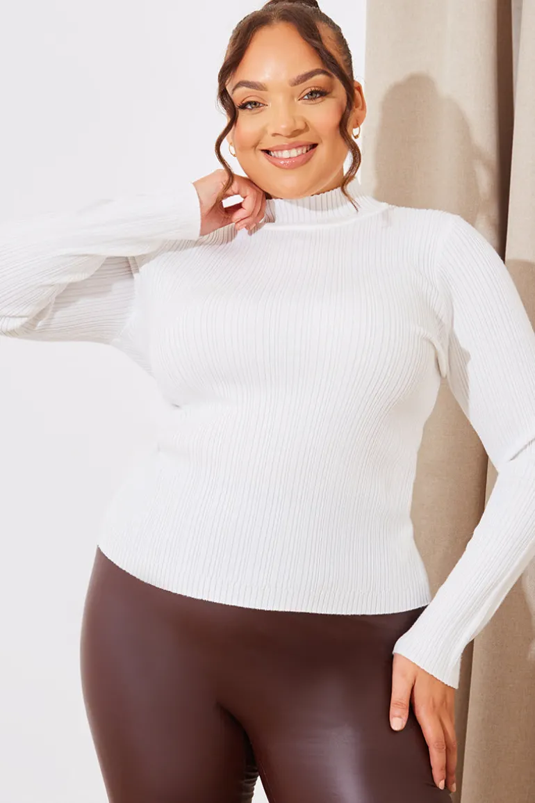 High Neck Variegated Rib Knit Top