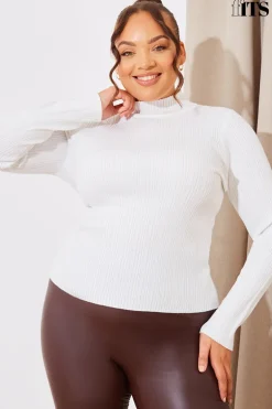 High Neck Variegated Rib Knit Top