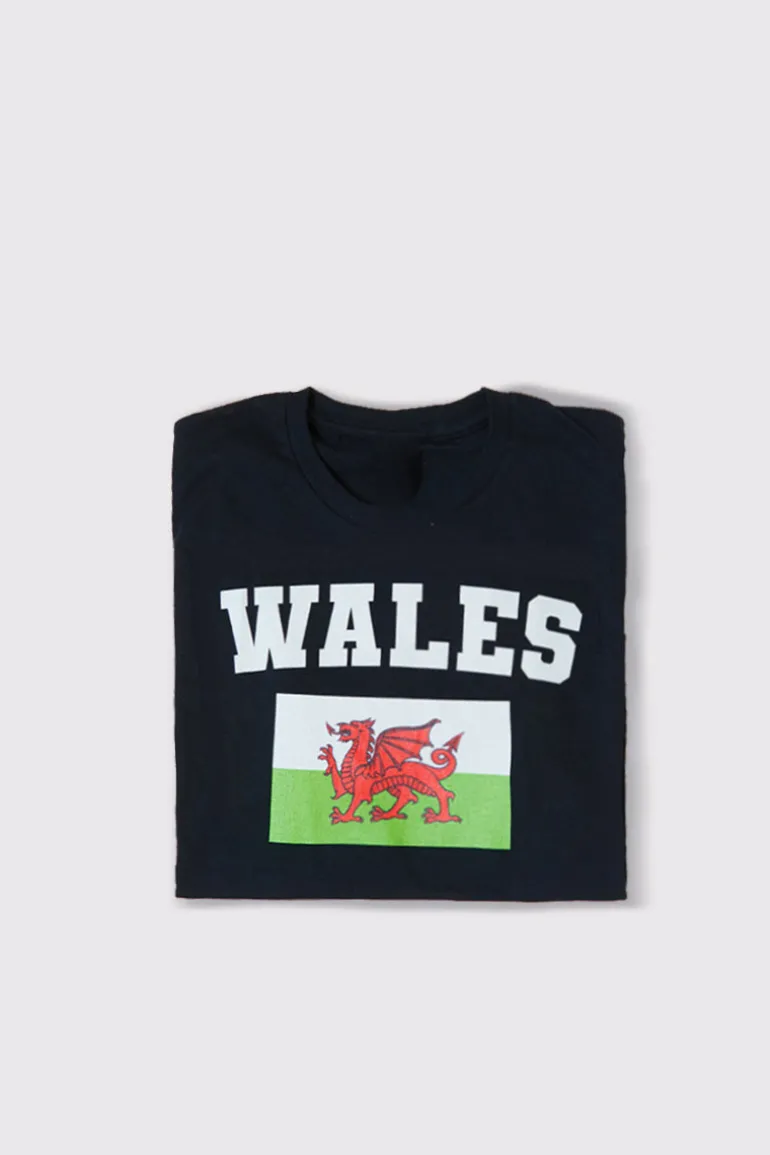 Kids Welsh Flag T-Shirt
