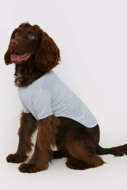 Plain Jersey Dog PJ