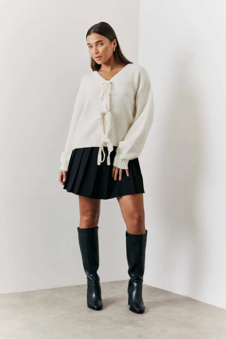 Pleated Skirt