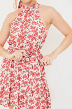 Polo In The Park Dress