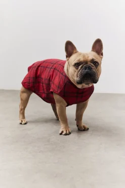 Red Checked Matching Dog Coat