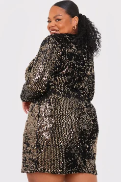 Velvet Sequin Mini Dress