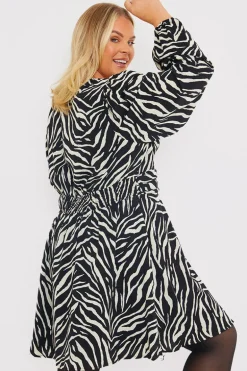 Zebra Woven Mini Dress